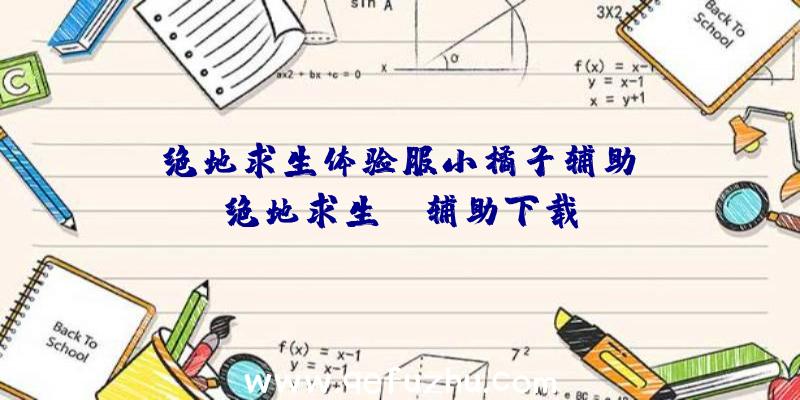 「绝地求生体验服小橘子辅助」|绝地求生xl辅助下载